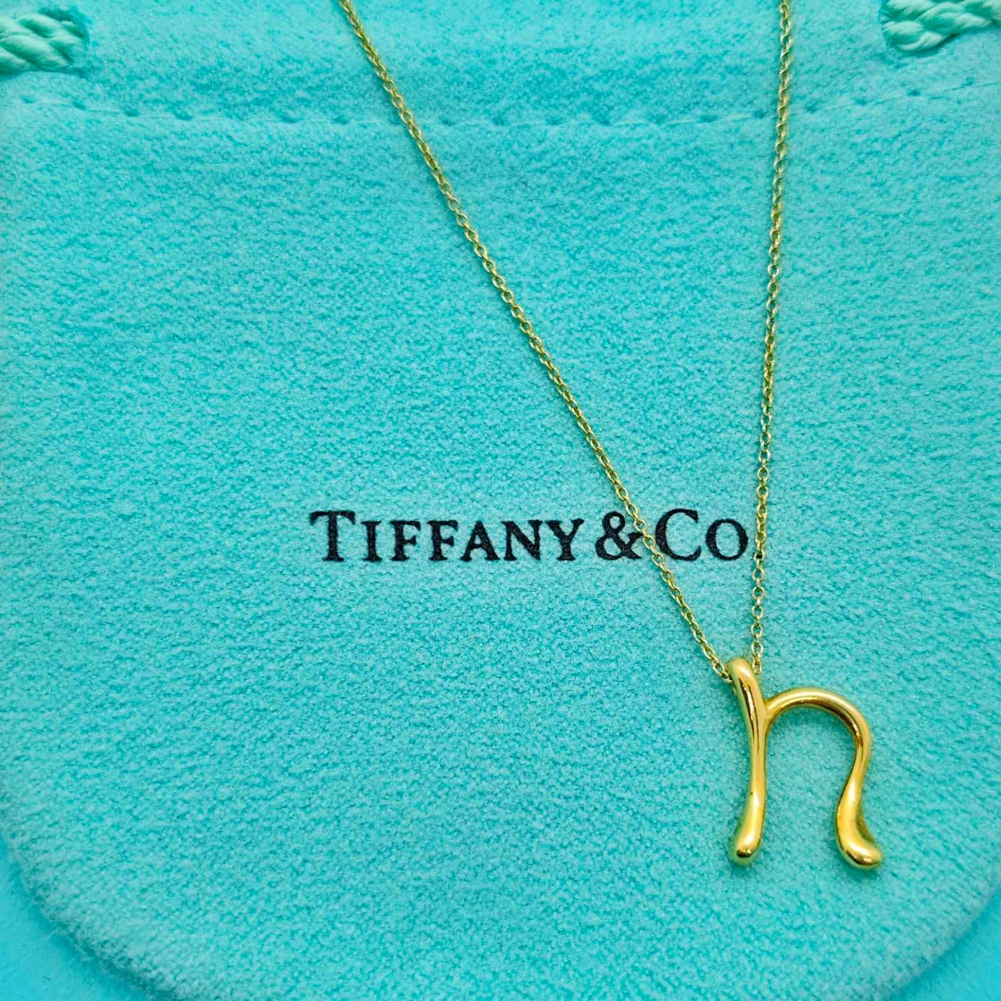 Tiffany & Co. Initial N Necklace
