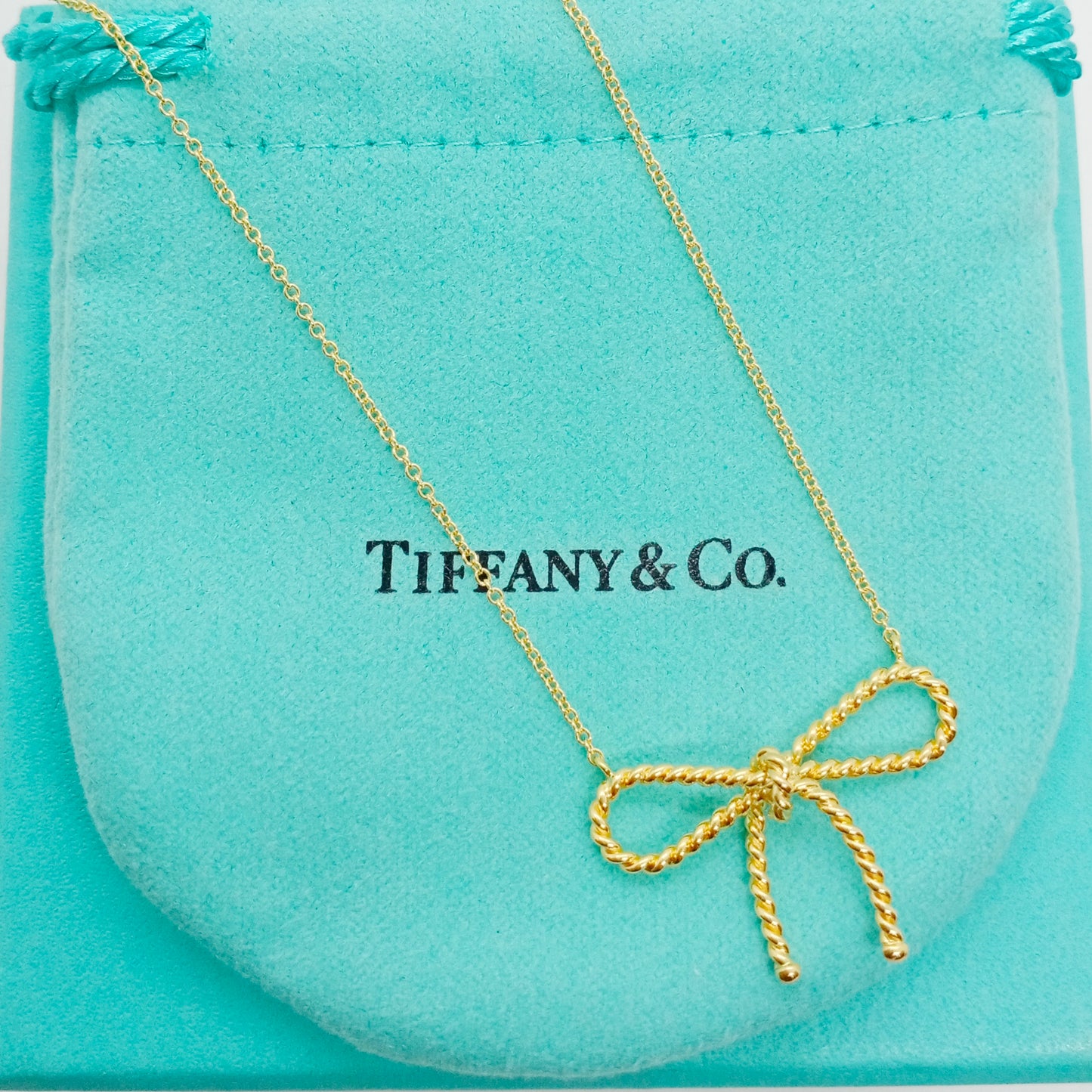 Tiffany & Co Twist Ribbon Necklace