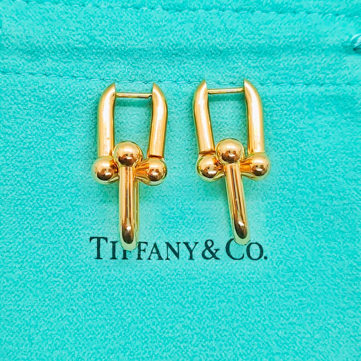 Tiffany & Co. HardWear Link Earrings (Brand New) [ PRE- ORDER ]
