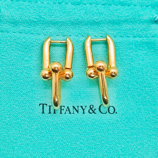 Tiffany & Co. HardWear Link Earrings (Brand New)