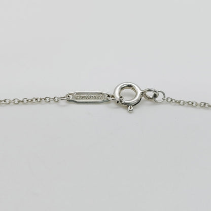Tiffany& Co. Double Heart Return Blue Silver Necklace